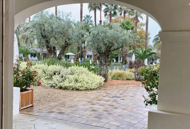 A picturesque garden view through an archway, featuring palm trees, blooming roses, and lush greenery on a stone pathway.