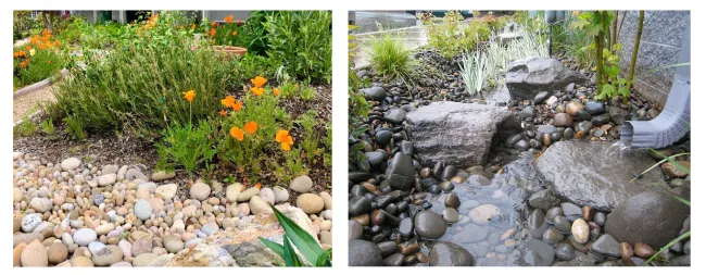 Fresh New Year! Fresh Ideas for Your Garden! - Art Garden Design https://artgardendesign.net/wp-content/uploads/01-jan.webp 3 A side-by-side of two rain garden designs. On the left, a dry landscape with smooth river rocks and drought-tolerant plants, including orange wildflowers. On the right, a functional rain garden with water flowing over large rocks, surrounded by lush greenery and a downspout directing water into the system.
