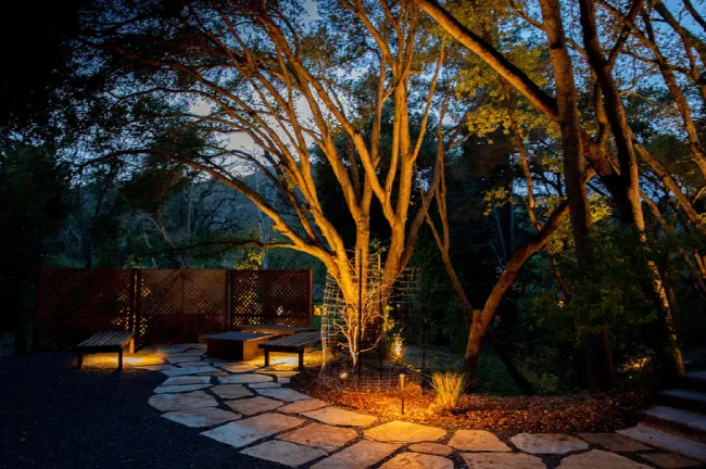 A Season of Gratitude + Special Holiday Offer - Art Garden Design https://artgardendesign.net/wp-content/uploads/01-dec.webp 3 A beautiful backyard landscape at night displaying a tree surrounded by a stone path and a few benches all lit up by lights.