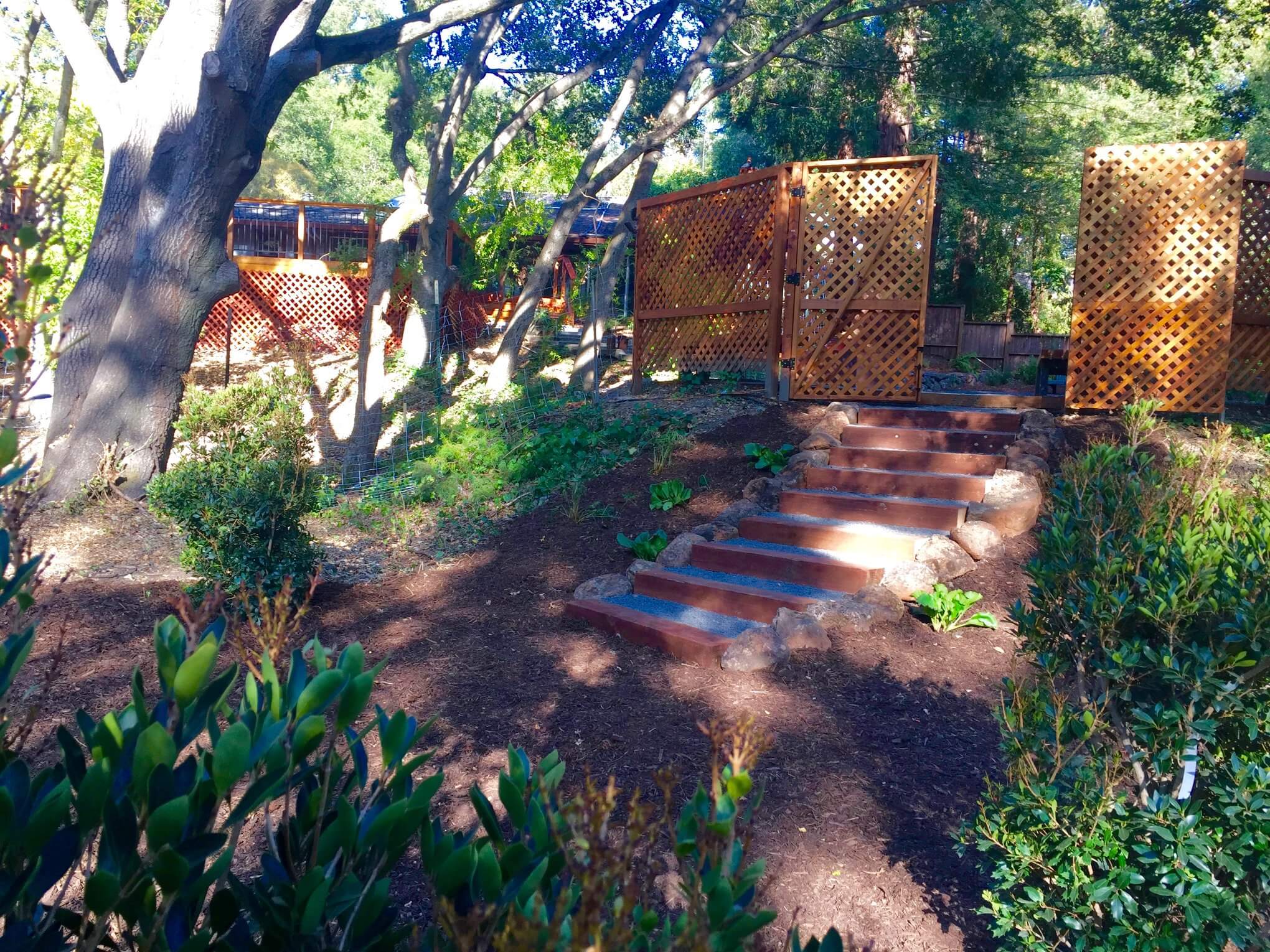 Orinda Landscape Transformation ART. GARDEN. DESIGN.