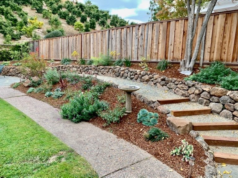 Fremont Landscape Transformation Art Garden Design