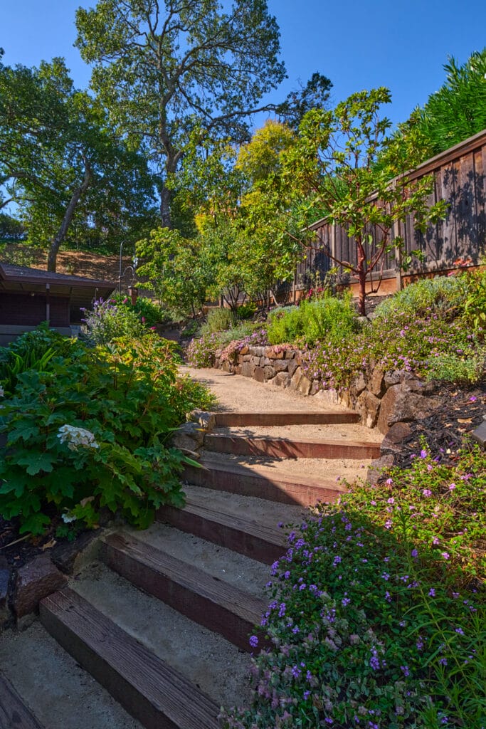 Fresh New Year! Fresh Ideas for Your Garden! - Art Garden Design https://artgardendesign.net/wp-content/uploads/922Z-4888-LoRes-1.jpg 8 Fresh New Year! Fresh Ideas for Your Garden! - Art Garden Design https://artgardendesign.net/wp-content/uploads/922Z-4888-LoRes-1.jpg blog