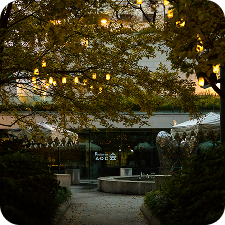 Landscaping Services Bay Area | From Design to Maintenance Landscaping Services Bay Area