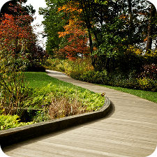 Landscaping Services Bay Area | From Design to Maintenance Landscaping Services Bay Area