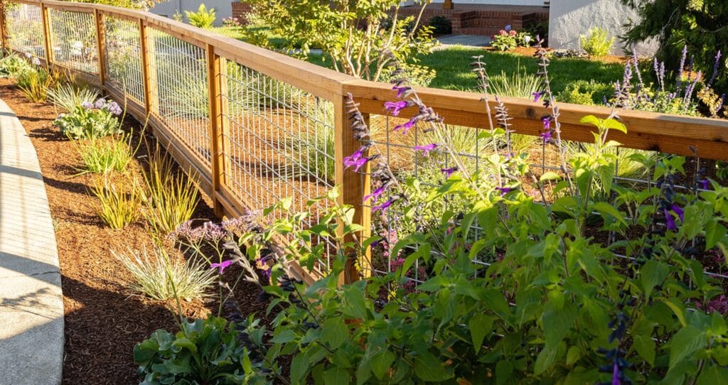 Landscaping Portfolio Landscaping Portfolio