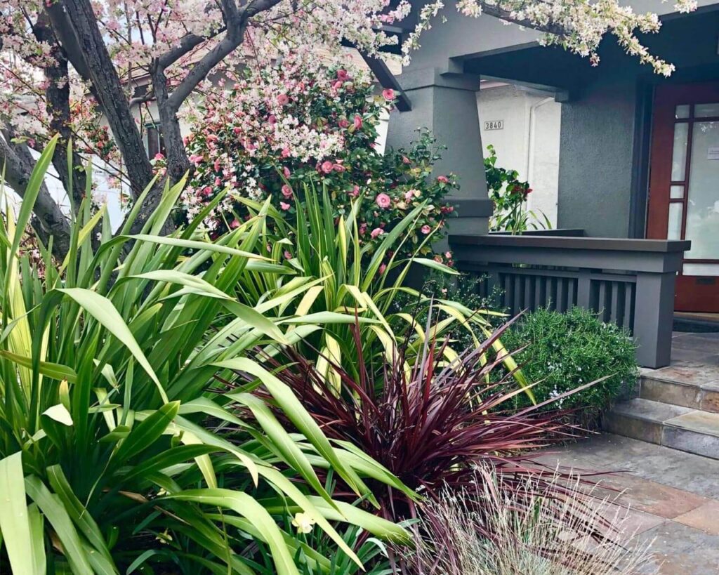 Oakland Hills Pilates Entrance - Art Garden Design https://artgardendesign.net/wp-content/uploads/Oakland-Hills-Pilates-Entrance_0000s_0016_Layer-1.jpg 13 Oakland Hills Pilates Entrance - Art Garden Design https://artgardendesign.net/wp-content/uploads/Oakland-Hills-Pilates-Entrance_0000s_0016_Layer-1.jpg blog