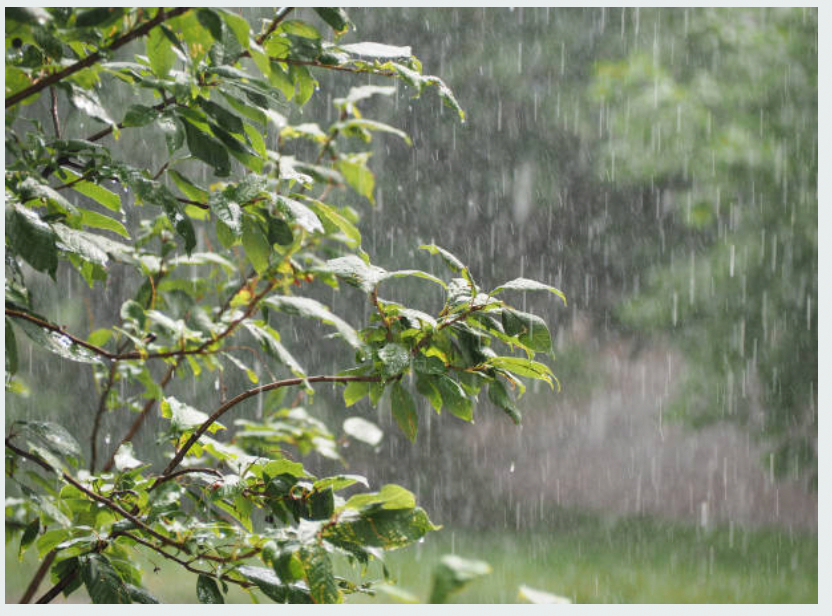 Land Planning and Design in the Winter Season - Art Garden Design https://artgardendesign.net/wp-content/uploads/Picture1.png 8 Land Planning and Design in the Winter Season - Art Garden Design https://artgardendesign.net/wp-content/uploads/Picture1.png blog