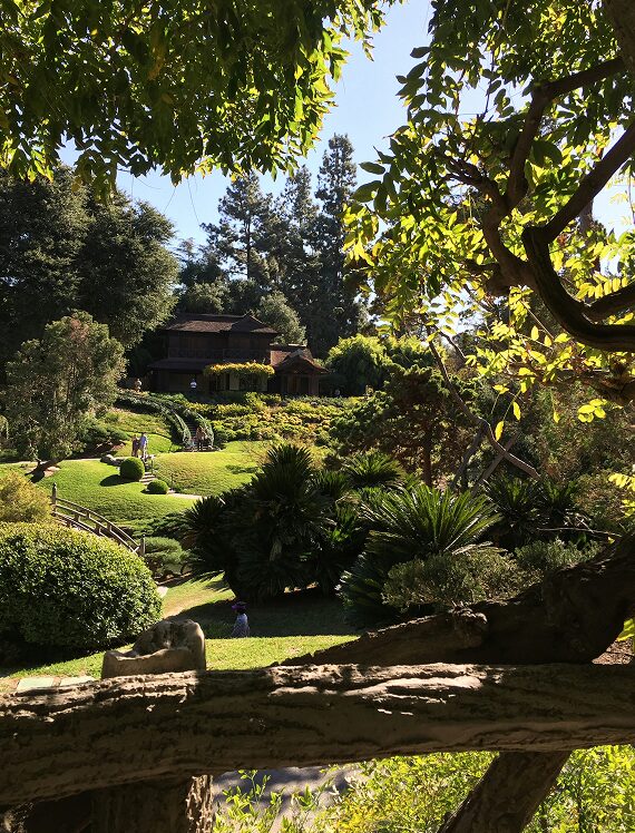 Contact Landscaping Company landscaping company