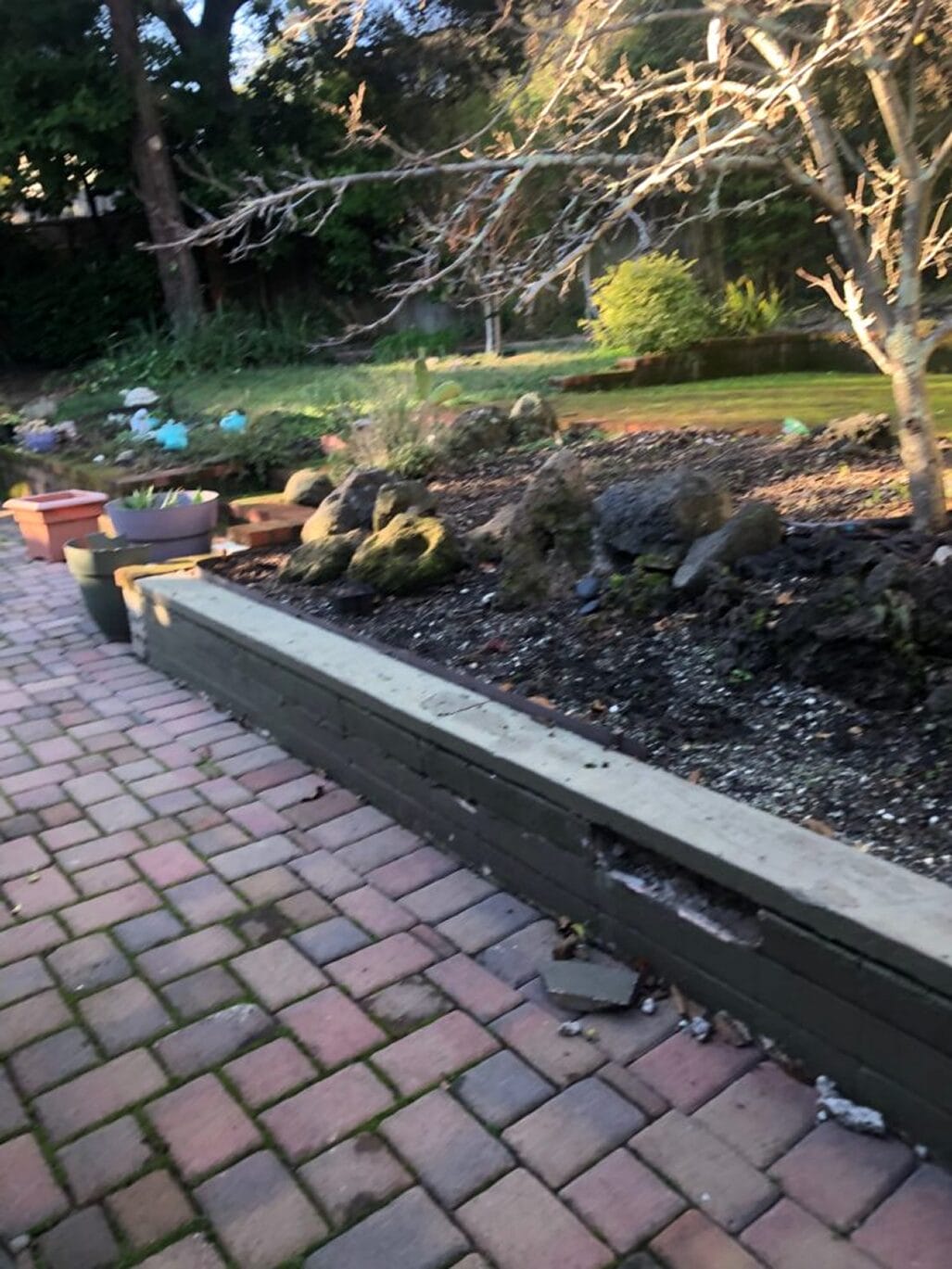 T1-scaled-e1675172599710 T1-scaled-e1675172599710