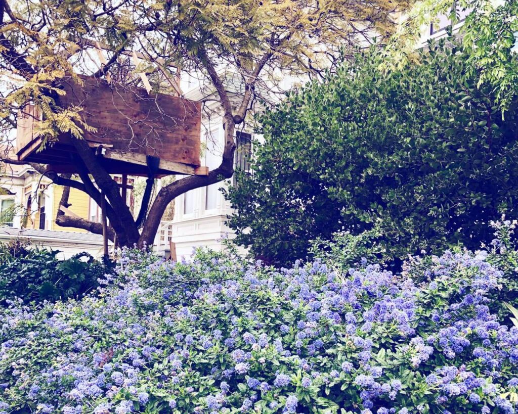 West Oakland Lawn Conversion - Art Garden Design https://artgardendesign.net/wp-content/uploads/West-Oakland-Lawn-Conversion_0000s_0007_Layer-2.jpg Projects