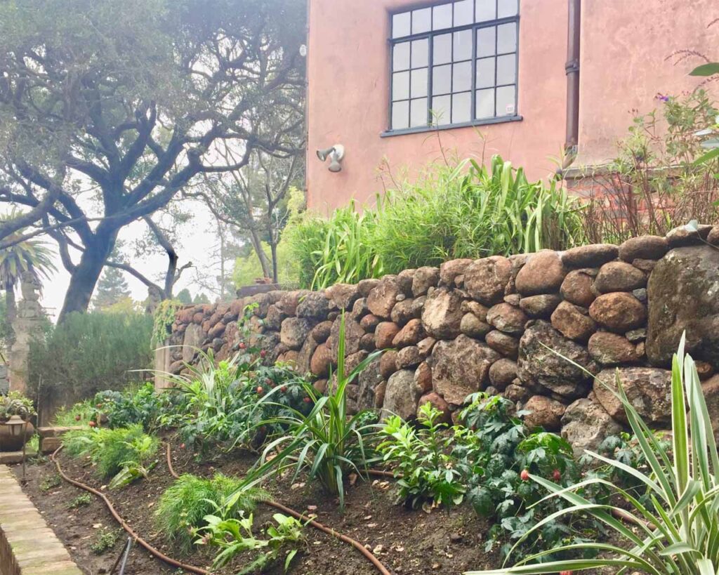 Berkeley Restoration - Art Garden Design https://artgardendesign.net/wp-content/uploads/berkeley-restoration_0000s_0023_Layer-25.jpg 12 Berkeley Restoration - Art Garden Design https://artgardendesign.net/wp-content/uploads/berkeley-restoration_0000s_0023_Layer-25.jpg blog