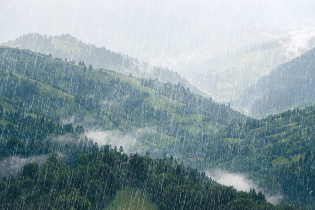 January 2026: Reading the Rain! - Art Garden Design blog