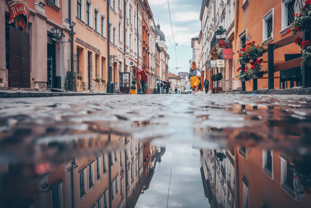 January 2026: Reading the Rain! - Art Garden Design blog
