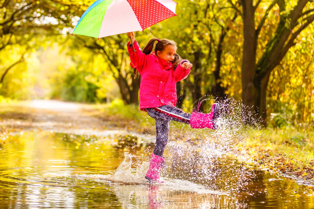 January 2026: Reading the Rain! - Art Garden Design blog