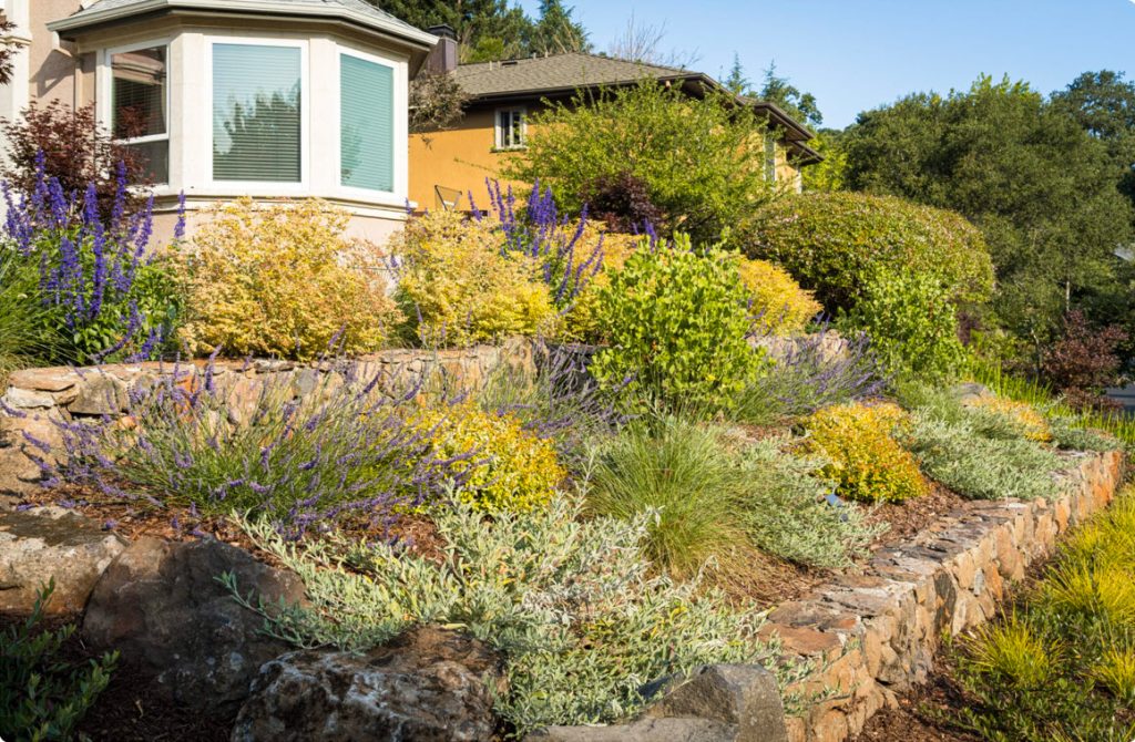 Landscaping Portfolio Landscaping Portfolio