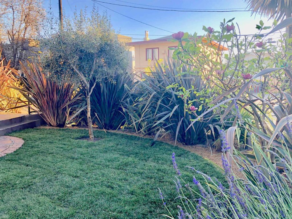 Maintenance - Art Garden Design https://artgardendesign.net/wp-content/uploads/services-maintenance.jpg Service