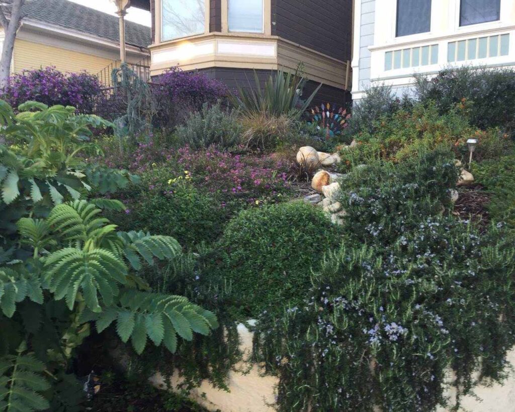 Urban Dry Creek - Art Garden Design https://artgardendesign.net/wp-content/uploads/urban-dry-creek_0000s_0002_Layer-5.jpg Projects